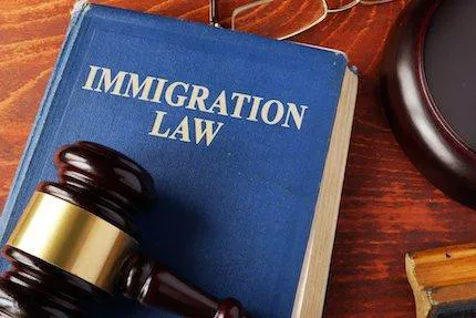 Melissa Contreras Immigration Law 1