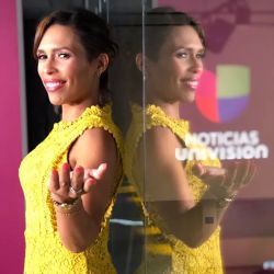Melissa Contreras Immigration Law ico