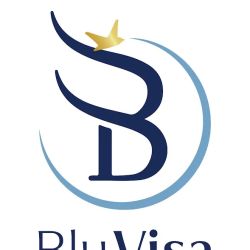 BluVisa | Immigration Law ico