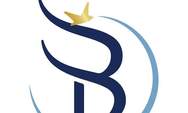 BluVisa | Immigration Law