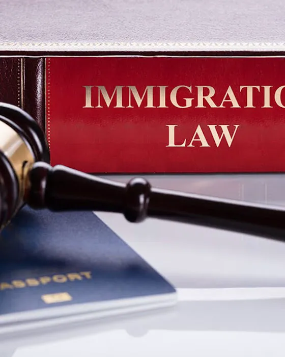 GS Immigration Law 1