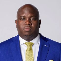 The Louis Law Firm ico