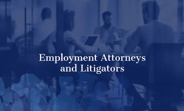 Workplace Law Partners