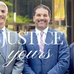 Angelini, Ori & Abate Law ico