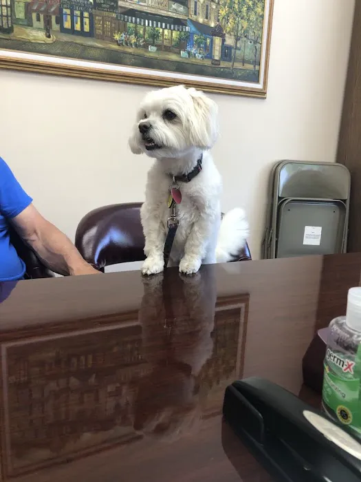 Thomas D. Benigno Attorney at Law 5