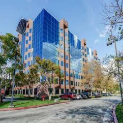Driggs Immigration Law California ico