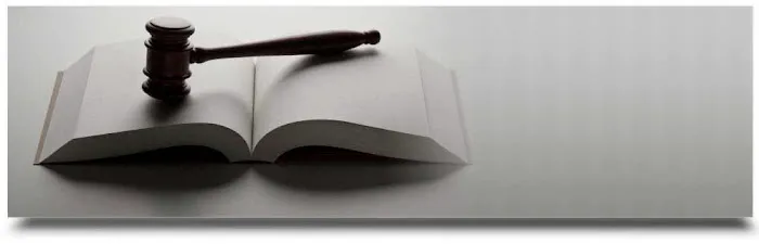 Law Office of Johnny Lai, Inc 0