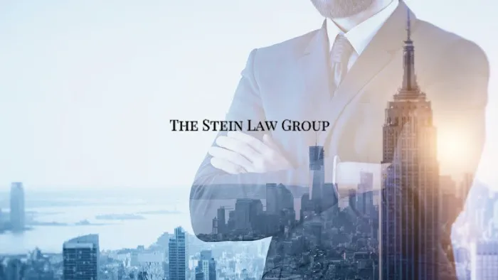 The Stein Law Group 0