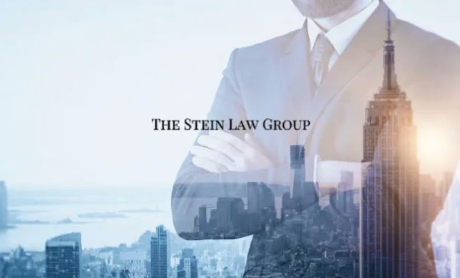 The Stein Law Group