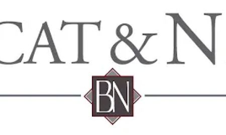 Brincat & New, PC