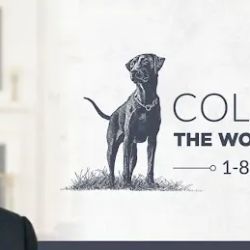 Collier Law P.L.L.C ico