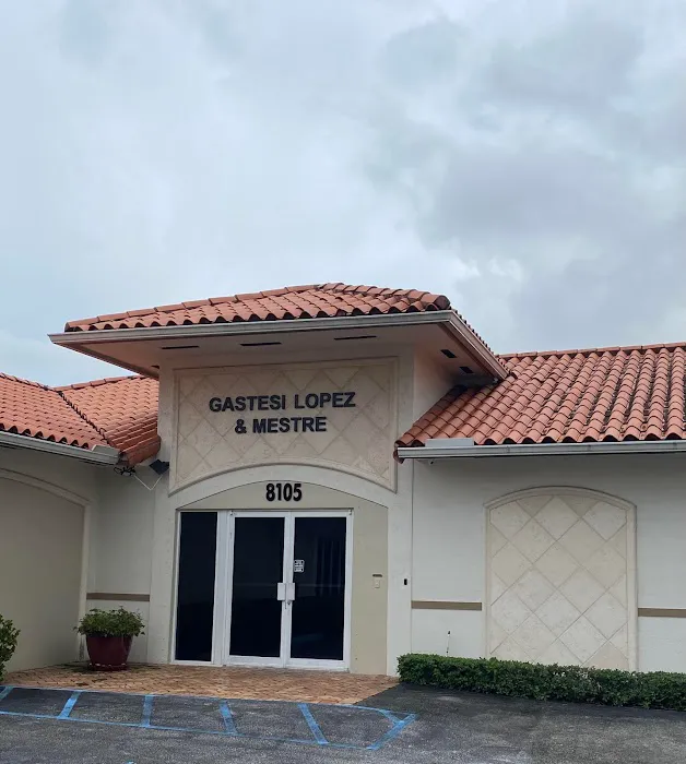 Ceasar Mestre Law Offices 0