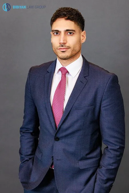 David Bibiyan - Employment Law Attorney 0