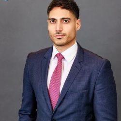 David Bibiyan - Employment Law Attorney ico