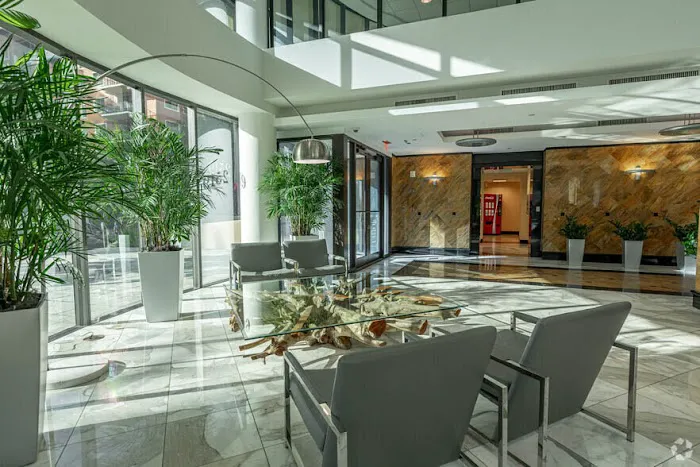 The Law Offices of Anidjar & Levine 9