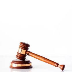 Law Office of Tania V. Sotelo, P.A. ico