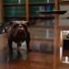 butler kahn law firm
