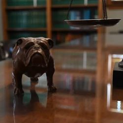 Butler Kahn ico