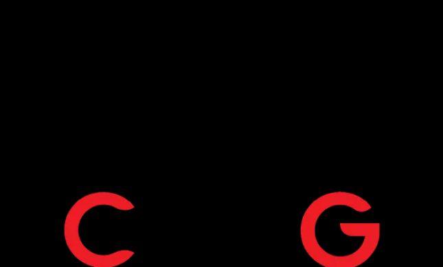 Chaykin Law Group, P.A