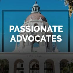 Anand Law Group, P.C. ico
