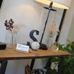 Stanton Law LLC ico