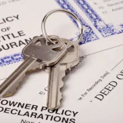 Law Office of Donna Hearne-Gousse, P.A. ico