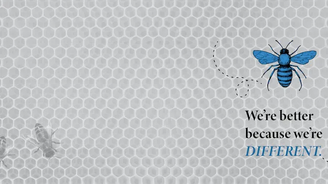 Blue Bee Bankruptcy Law 2
