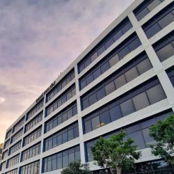 Pedersen Law, APC ico