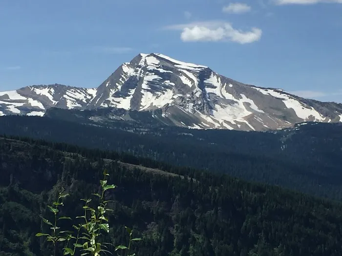 Cascadia Disability Law 0
