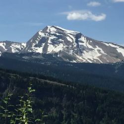 Cascadia Disability Law ico