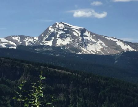Cascadia Disability Law