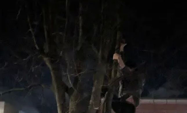 Keller & Keller