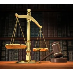Maizes & Maizes LLP: Maizes Michael & Howard 3