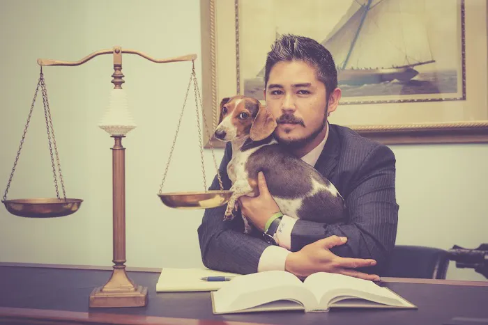 The Law Firm of Heiko G. Moenckmeier, LLC 3