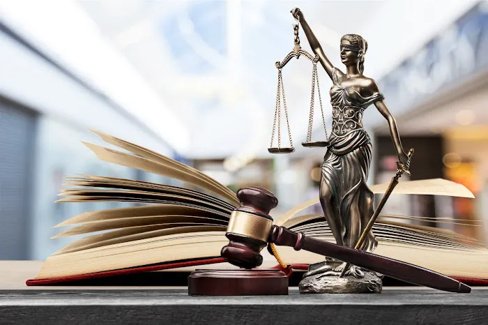 The Law Offices of Jennifer Morales 1