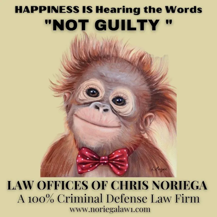 Law Offices Of Chris Noriega 4
