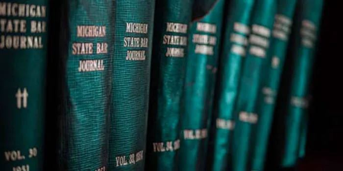 Morgan Legal Group | Trusts & Estate Planning Bronx 1