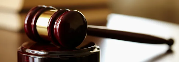 Law Office of Mauverine D. Butler, PLLC 6
