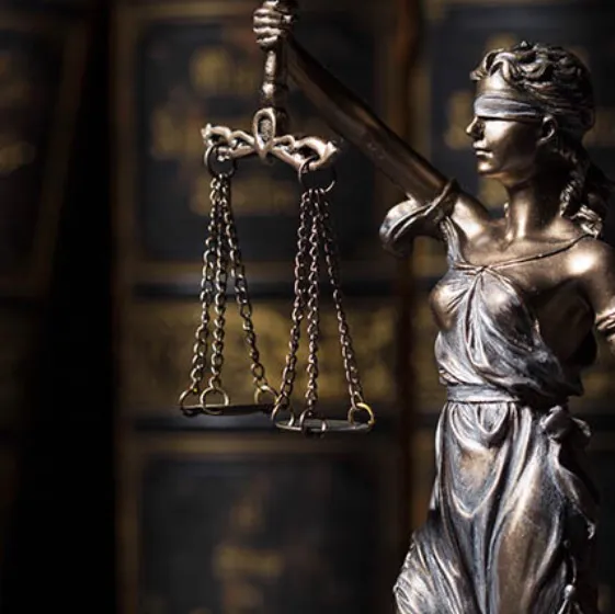The Castro Law Firm, PLLC 1