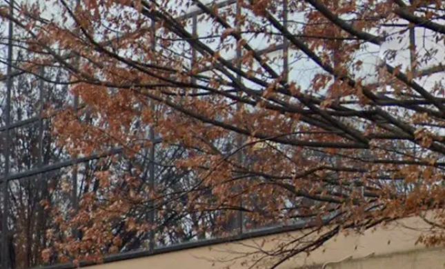Law Offices of John L. Maccarone, P.C.