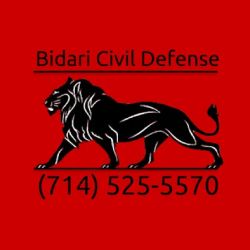 BIDARI CIVIL DEFENSE ico
