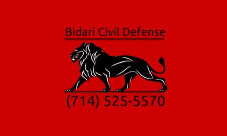 BIDARI CIVIL DEFENSE