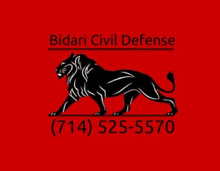 BIDARI CIVIL DEFENSE