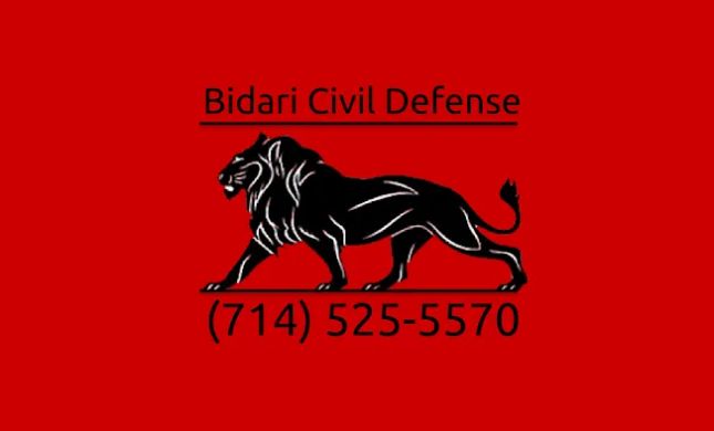 BIDARI CIVIL DEFENSE