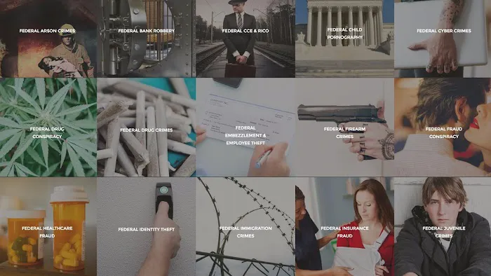 The Law Firm of Shein, Brandenburg & Schrope 0