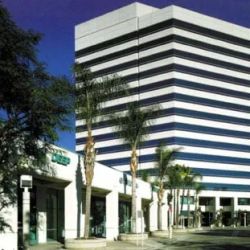 Law Office of Cary S. Macy ico