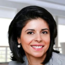 The Law Offices of Elsa Ayoub, P.L.L.C. ico