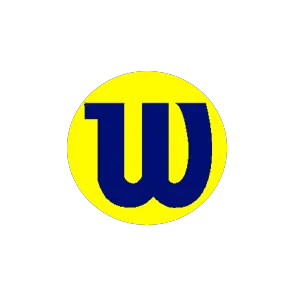 Wilson Law Firm 1