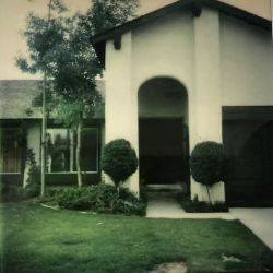 Law Office of Evan L. Ginsburg ico