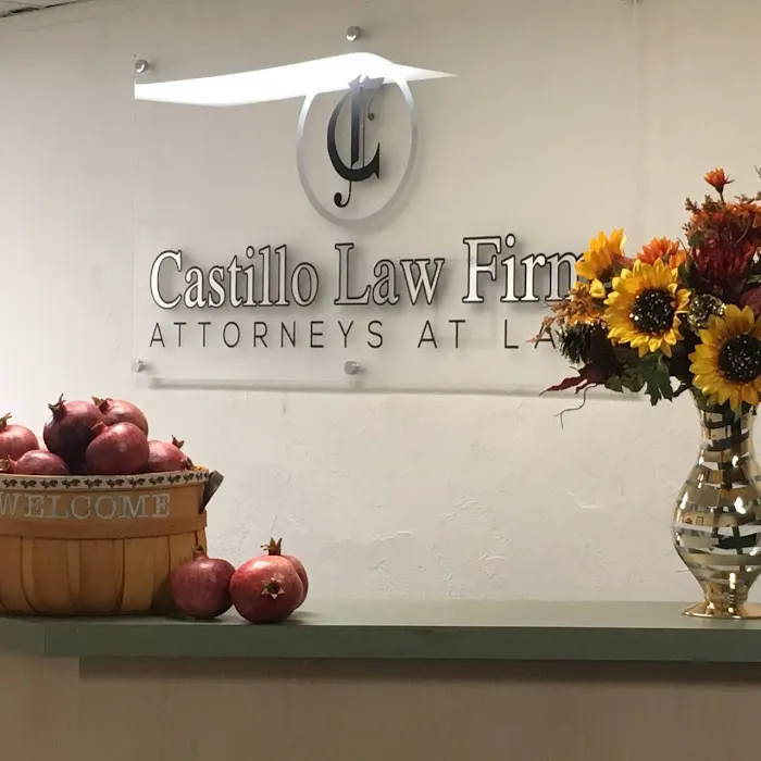 The Castillo Law Firm 1